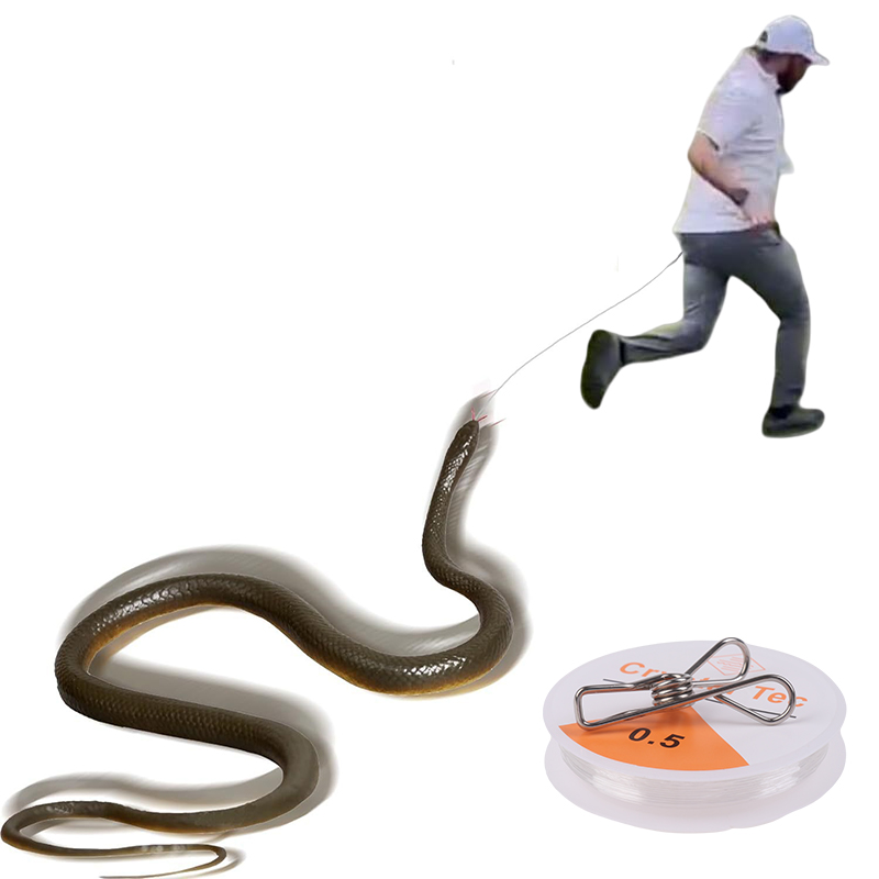 Juguete de broma de serpiente  - Prank Toys reseña y precio