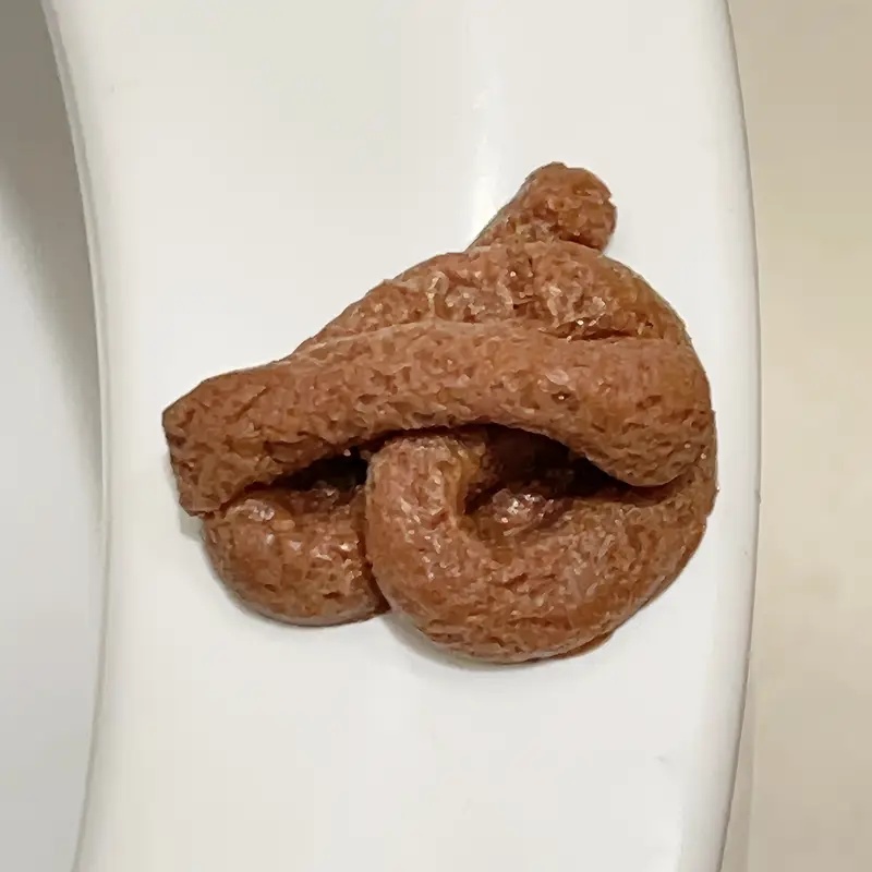 Juguete de broma de caca falsa - Fake Poop Gag Gift reseña y precio